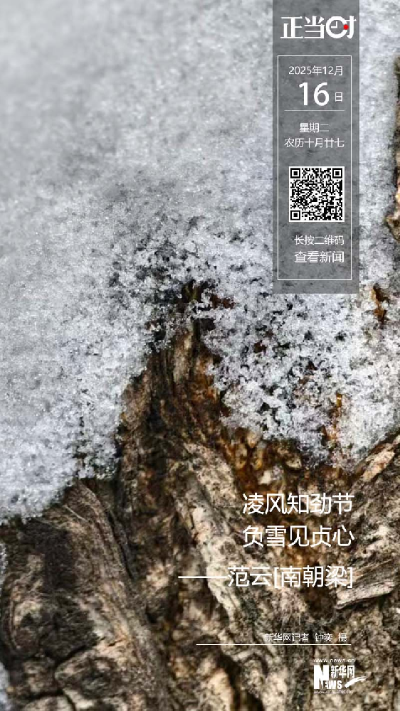 正当时：2025年12月16日