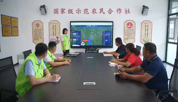 从“灾后赔”到“灾前防”：中华财险河北分公司探索农业风险减量服务新路径